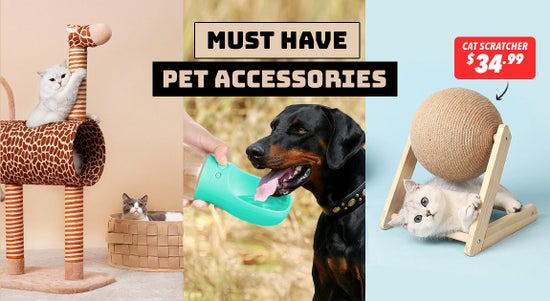 Shop the Must Have Pet Accessories & More! sale